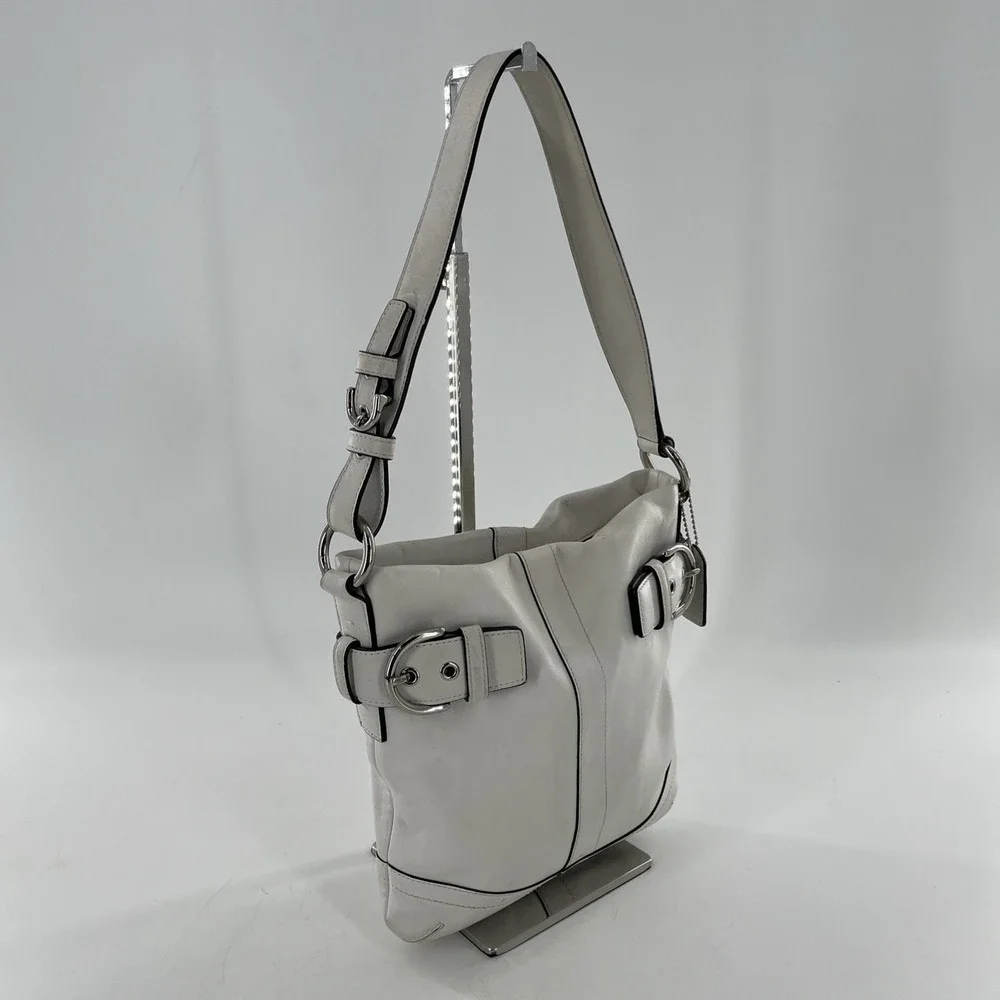 Coach handbag product